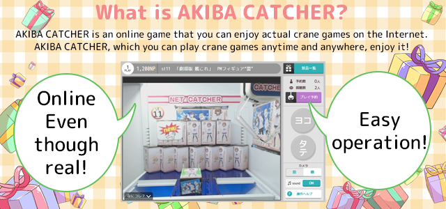 AKIBA CATCHERとは?